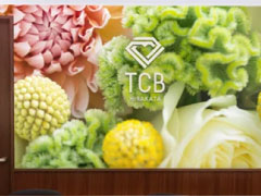 TCB 東京中央美容外科　枚方院