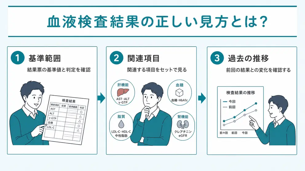 血液検査の見方は基準範囲と関連項目と推移の3点で整理する