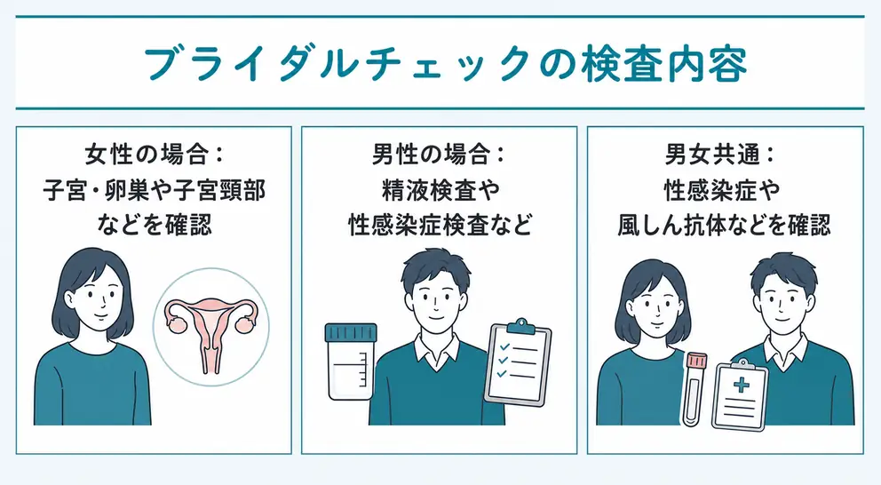 ブライダルチェックの検査内容は女性と男性で異なる