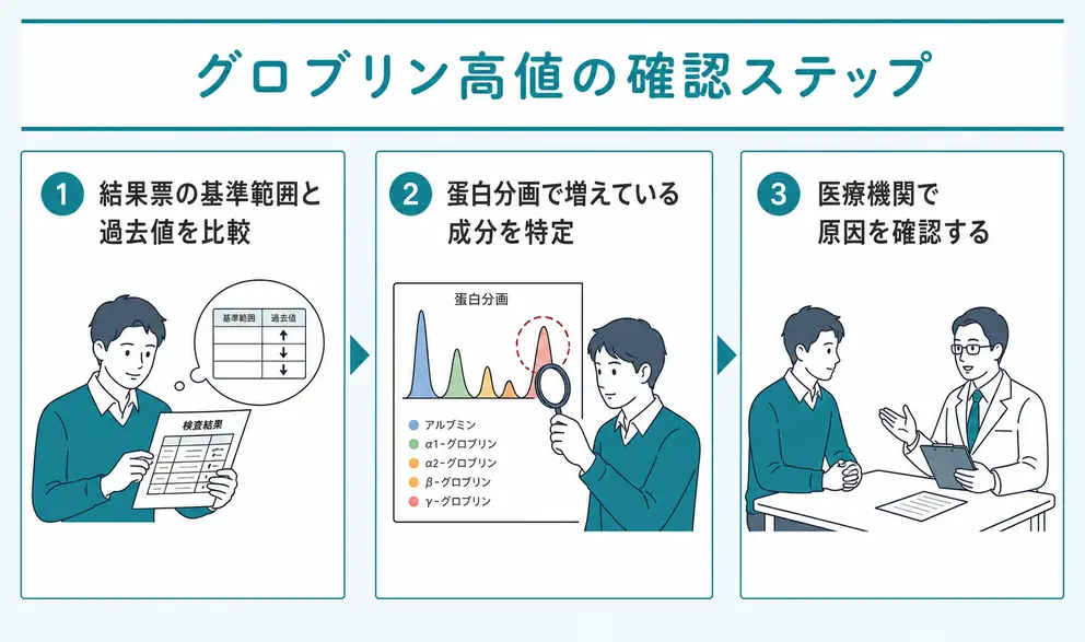 高値が続くときは過去の数値と蛋白分画を順番に確認する