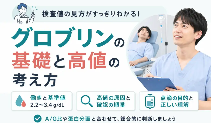 グロブリンとは？働き・基準値と高値の原因・点滴との違い