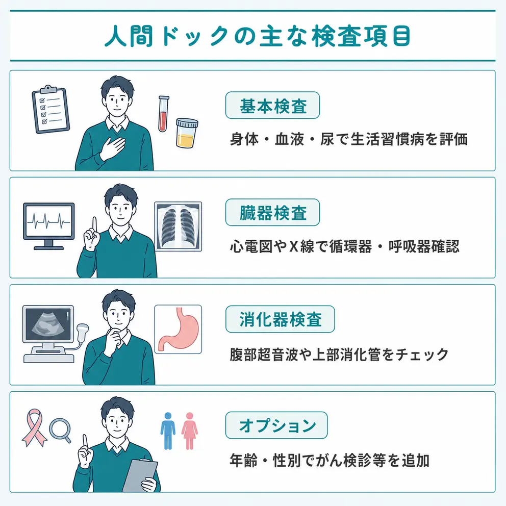 人間ドックの主な検査項目