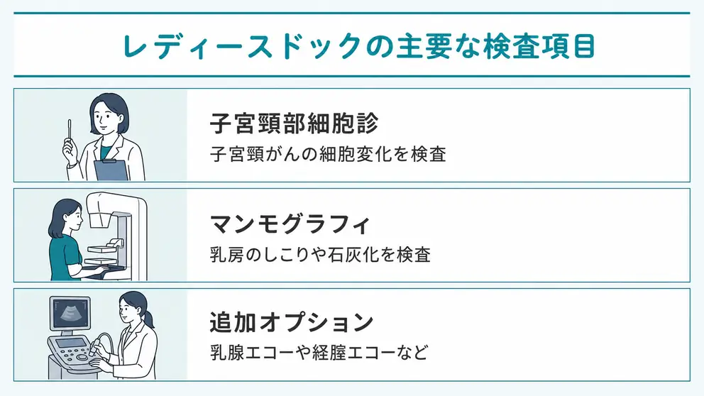 レディースドックの主な検査内容