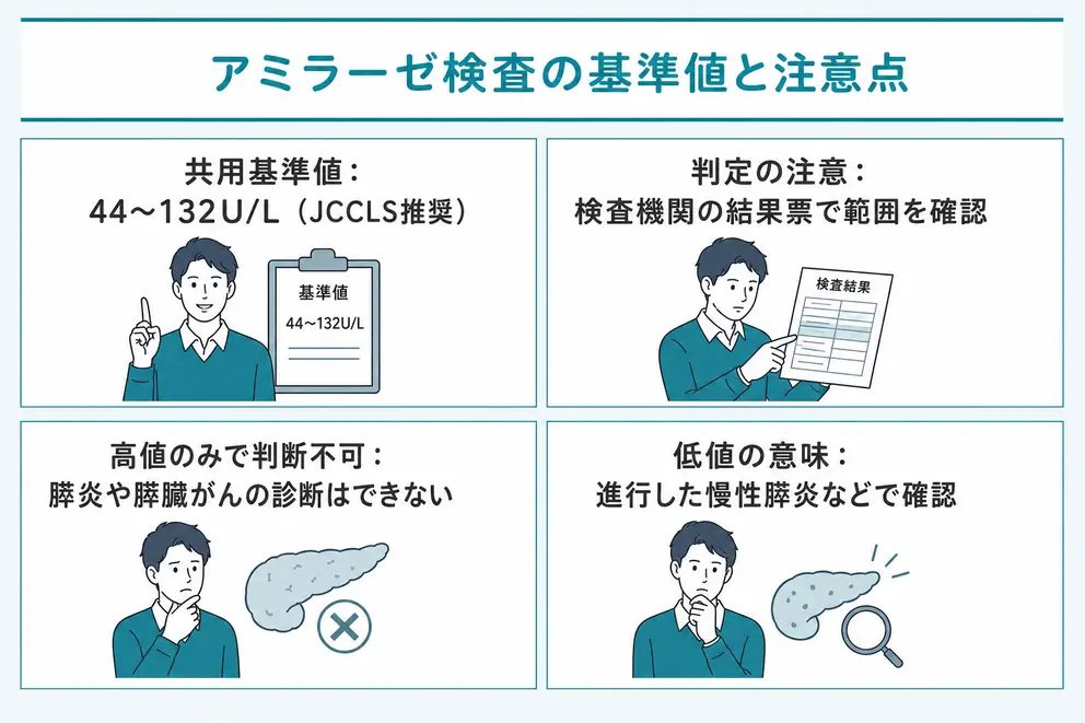 アミラーゼ検査の基準値は44〜132U/Lが共用基準範囲