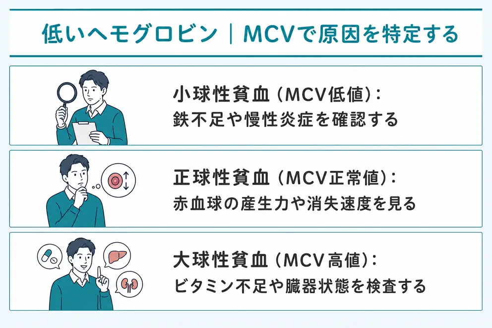 ヘモグロビン数値が低い原因はMCVと追加検査で絞り込む