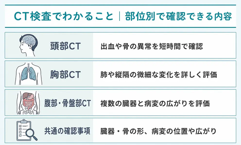CT検査でわかることは撮影部位と造影剤の有無で変わる