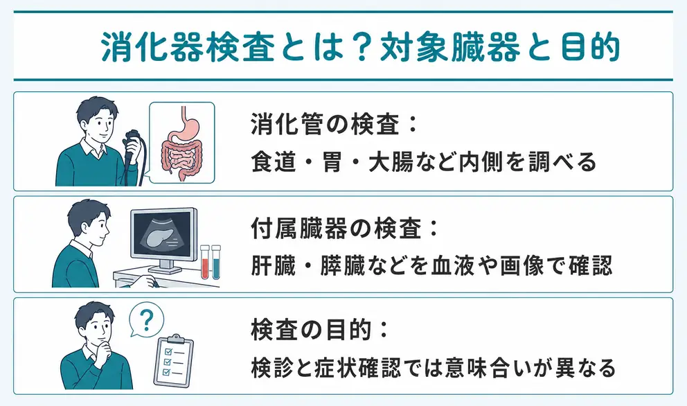消化器系検査とは胃腸や肝臓・胆のう・膵臓を調べる検査