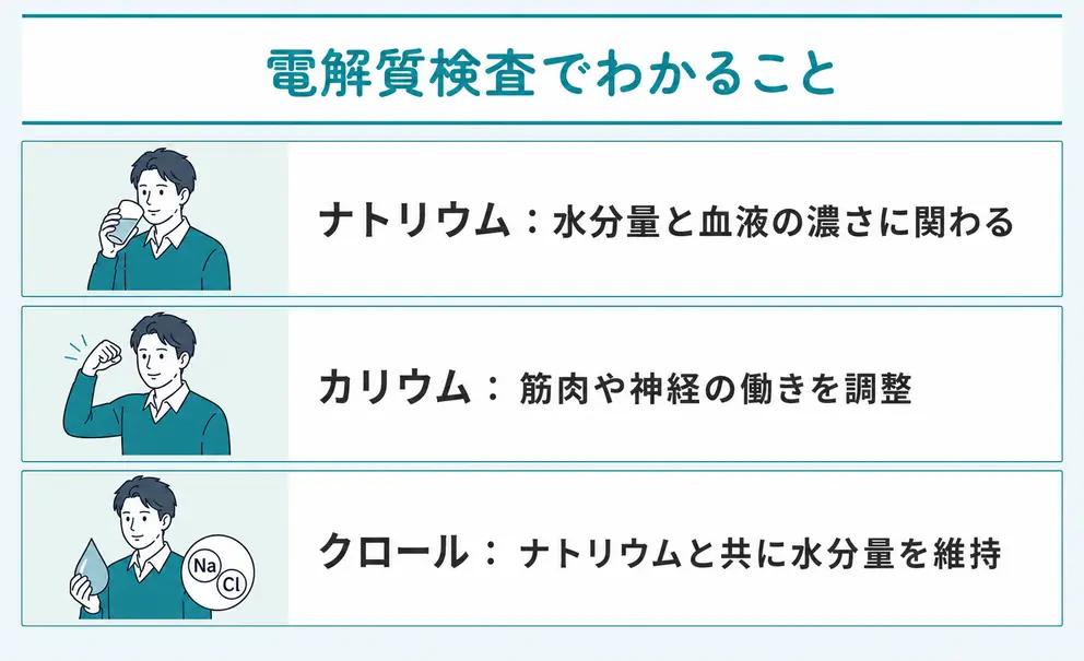電解質検査では体内の水分量と神経や筋肉の状態を調べる