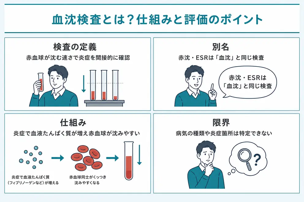 血沈は赤血球が沈む速さから炎症を間接的にみる検査