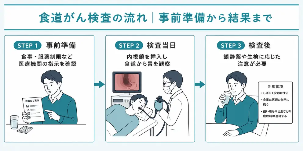 食道がん検査の流れは事前準備から結果説明まで続く