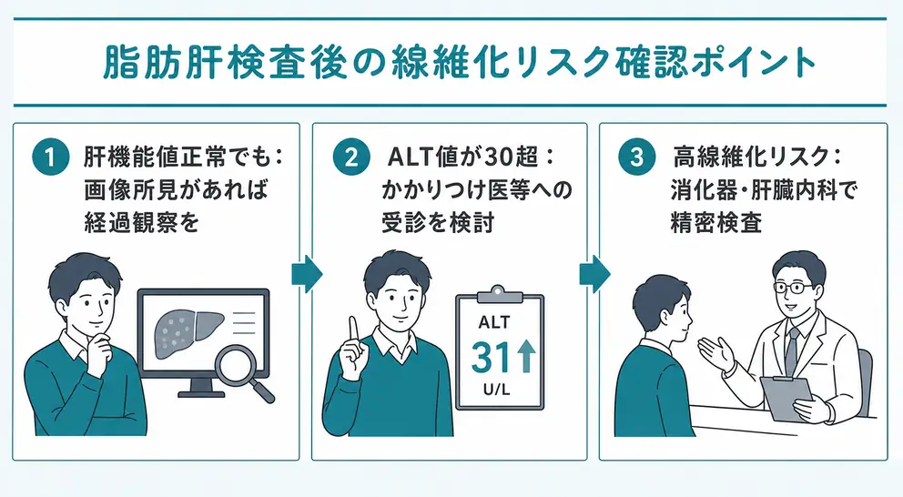 健診で脂肪肝を指摘された後は線維化リスクまで確認する