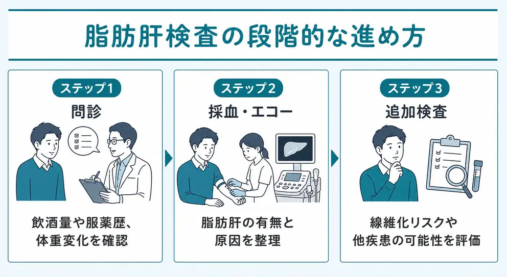 脂肪肝検査の内容は問診から線維化評価まで段階的に進む