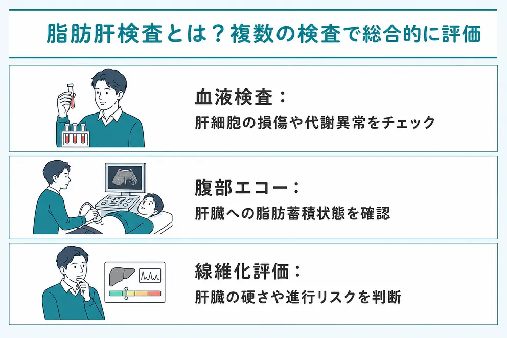 脂肪肝検査とは血液検査と画像検査を組み合わせて調べる検査