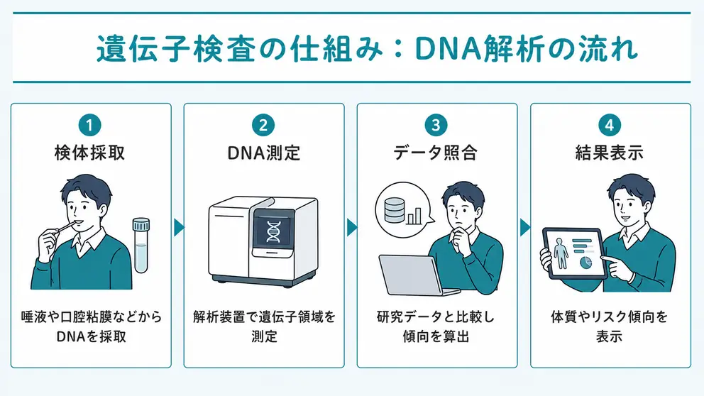 遺伝子検査の仕組みは検体採取から解析結果の表示まで進む