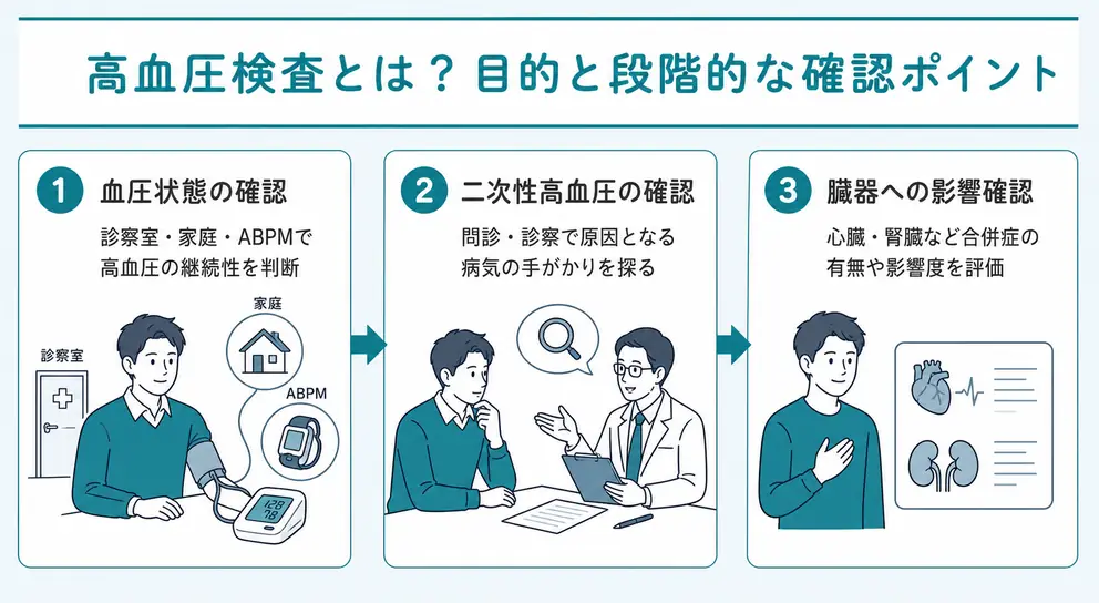 高血圧検査は血圧の確認から原因と臓器への影響まで調べる