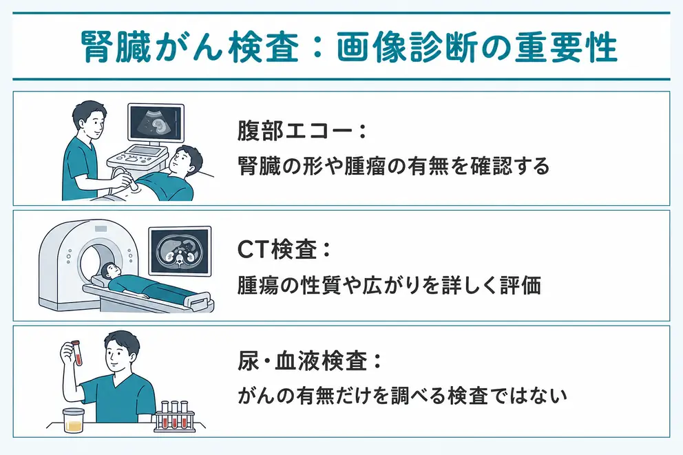 腎臓がんの検査では腎臓を画像で確認することが重要になる