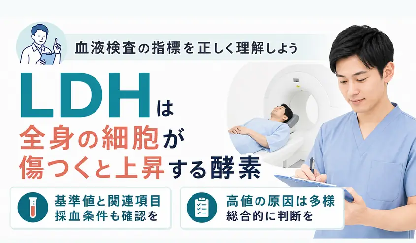 LDHとは？血液検査の基準値124～222U/Lと高い原因・見方