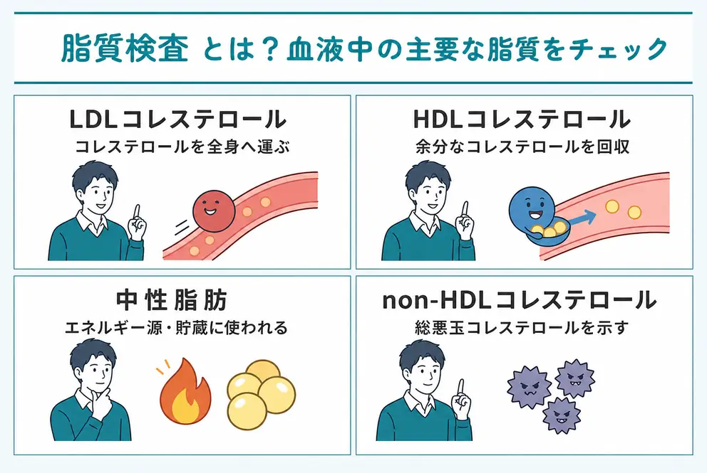 脂質検査とは血液中の脂質の状態を調べる検査