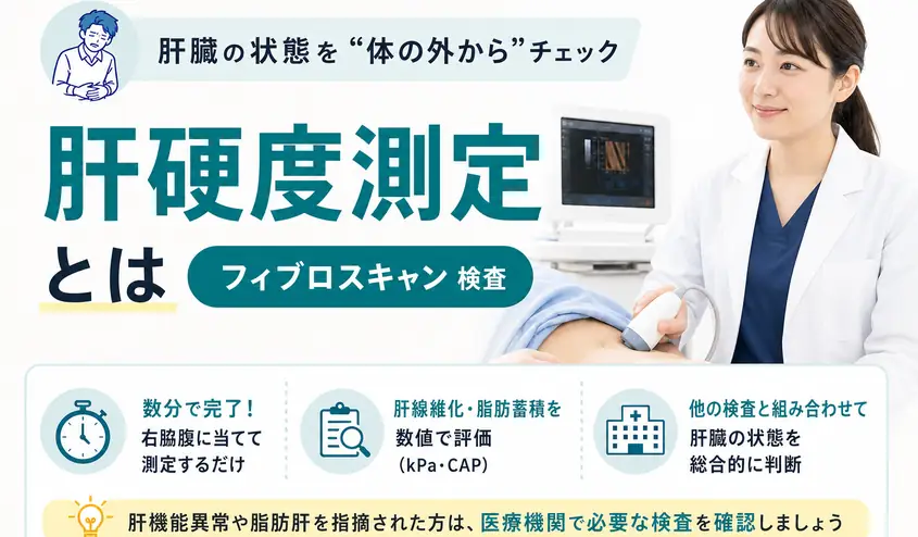 肝硬度測定とは？フィブロスキャン検査でわかることと結果の見方