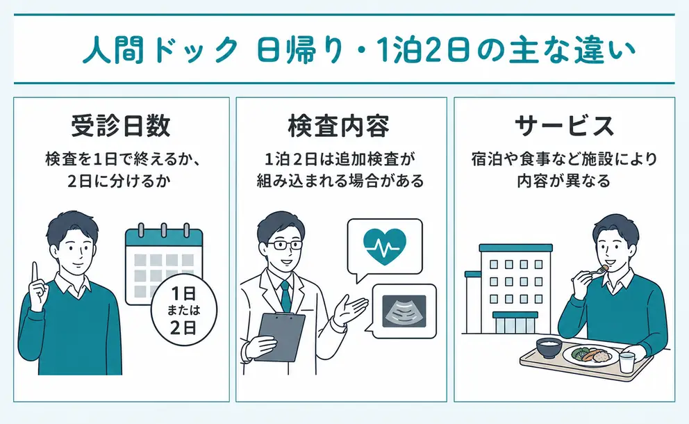 人間ドックの日帰りと1泊2日の違いは検査内容と受診日数で比較する