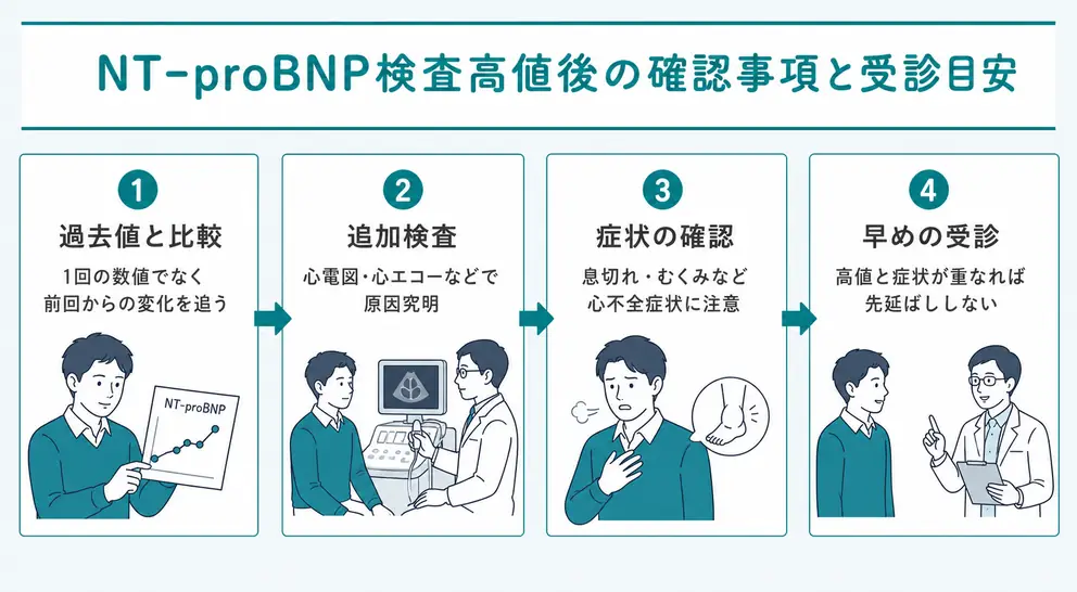 NT-proBNP高値を指摘された後は数値の変化・症状・追加検査を確認する