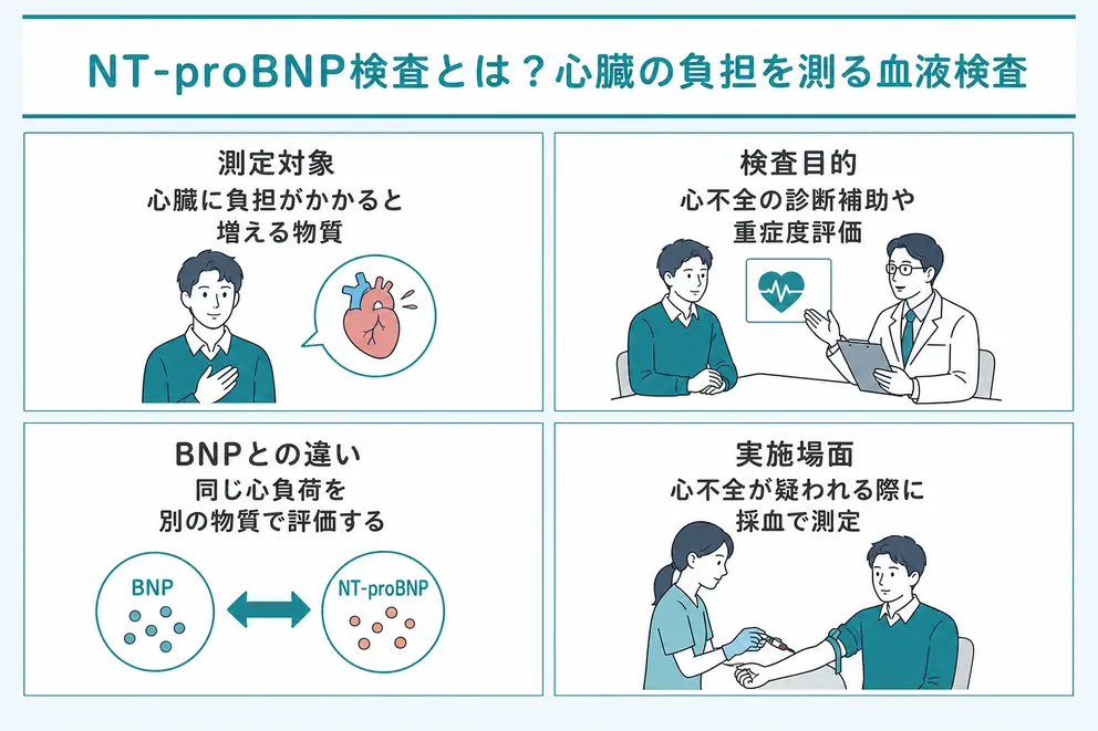 NT-proBNP検査は心臓への負担を採血で確認する検査