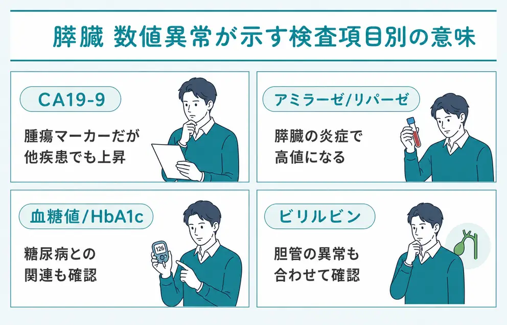 膵臓の数値異常は検査項目ごとに意味が異なる
