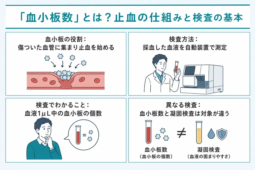 血小板数は出血を止める力の一部を調べる検査項目