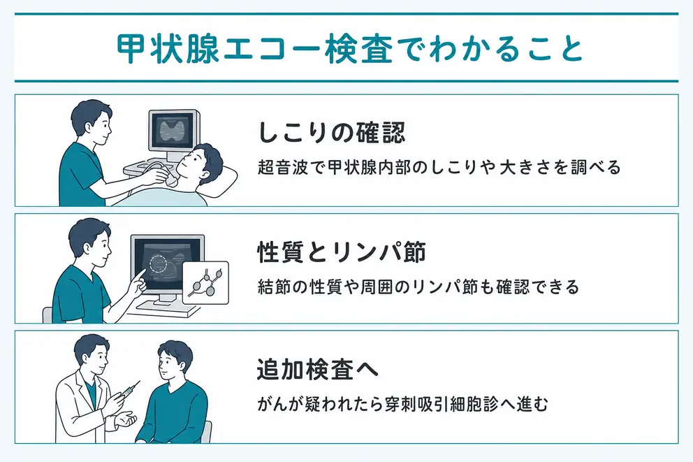 甲状腺エコー検査はしこりを見つけて詳しい検査が必要か確認する