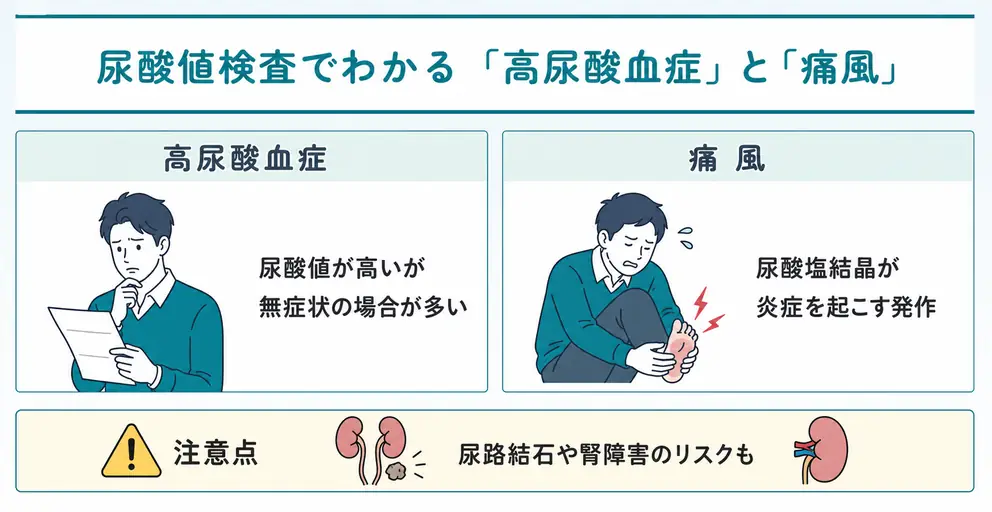 高尿酸血症と痛風は同じ状態ではない