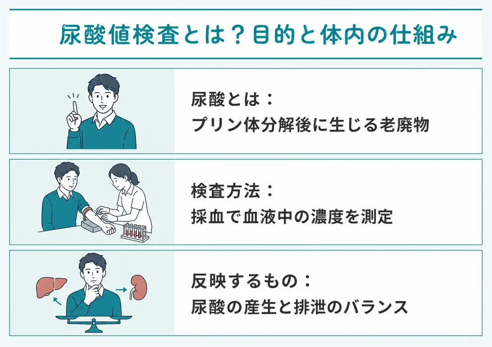尿酸値検査とは血液中の尿酸濃度を調べる検査