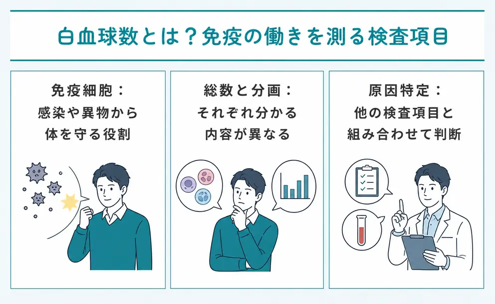 白血球数は免疫の働きを確認する血液検査項目