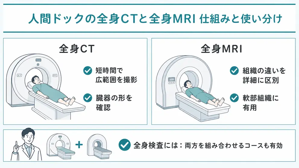 人間ドックの全身CTと全身MRIは仕組みと確認しやすい部位が異なる