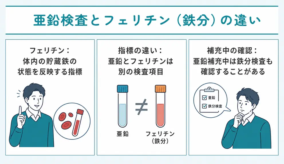 鉄分検査で使うフェリチンは亜鉛とは別の指標